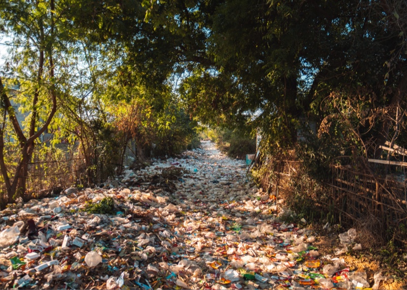 Regenerative Development: Going Beyond Sustainability